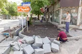 ساختمان&zwnj;های نوساز، جای درختان توت مهرآباد را گرفتند