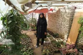 ایوان خانه خانم صفری، اولین گلخانه&zwnj;اش بوده است