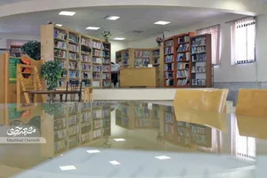 img-profile-author