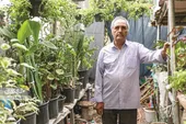 سرسبزی پنجتن ۷۹ حاصل ۶۰ سال رنج علی رنجبر است