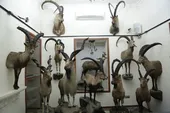 کامل&zwnj;ترین موزۀ تاکسیدرمی خاورمیانه در باغ وکیل&zwnj;آباد قرار دارد