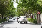 ثامن الائمه، خیابان مسجد نور