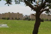 امیریه؛ محله در حال رشد منطقه ۱۲