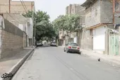 یک کوچه و یک بیت الرقیه(س)