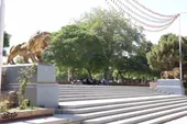 شیر&zwnj;های کوهسنگی؛ نگهبانان ۸۵ ساله بوستان محبوب مشهدی&zwnj;ها