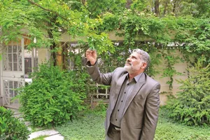 img-profile-author