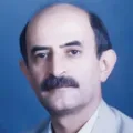 دکتر ناصر رضا ارقامی، کاشف نظم ناپیدا